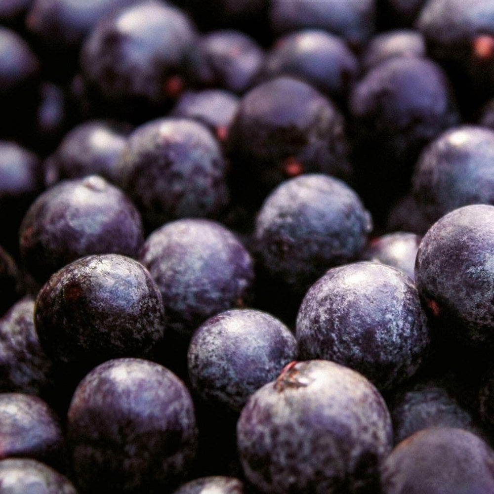 Natura Ekos Frescor Açaí - Eau de Toilette 150ml