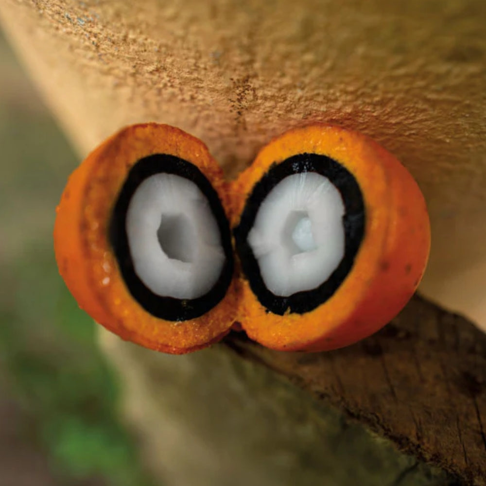 Natura Ekos Creme Hidratante para as Mãos Tukumã - Crema mani anti-età 75gr