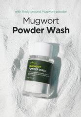 ISNTREE Mugwort Calming Powder Face Wash 15g - Detergente viso