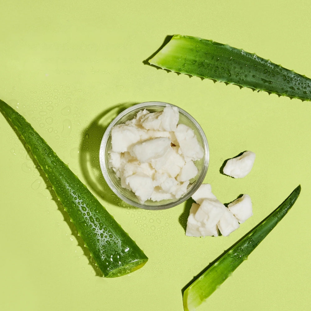 Shea Moisture Aloe Butter Scalp Moisture Conditioner - Balsamo capelli secchi 384ml